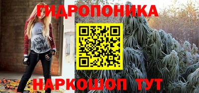 гидропоника Новозыбков