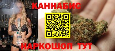 гидропоника Новозыбков