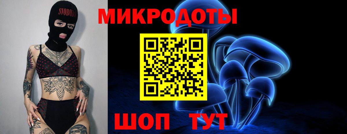 Галлюциногенные грибы Psilocybine cubensis Пыть-Ях